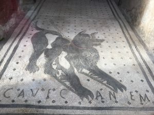 IMG_9355