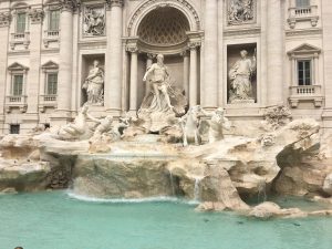 IMG_9567