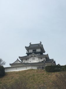 IMG_0275